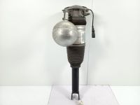 Sto?d?mpfer links hinten <br>VW PHAETON (3D1, 3D2, 3D3, 3D4, 3D6, 3D7, 3