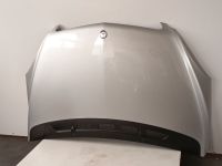 Motorhaube <br>MERCEDES-BENZ B-KLASSE (W245) B 170