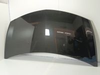 Motorhaube <br>RENAULT CLIO III (BR0/1, CR0/1) 1.2