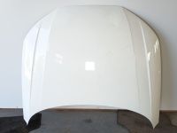 Motorhaube <br>AUDI A4 AVANT B9 (8W5, 8WD) 2.0 TDI QUATTRO