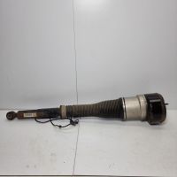 Sto?d?mpfer links hinten Luftfahrwerk<br>MERCEDES-BENZ S-KLASSE (V221, W221) S 450 4MATIC LANG