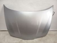Motorhaube <br>SEAT CORDOBA (6L2) 1.4 16V